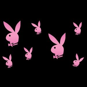 Meet your Posher, Lily